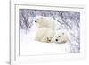 Polar Bears, Female and Two Cubs, Churchill Wildlife Area, Mb-Richard ans Susan Day-Framed Photographic Print