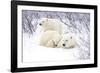 Polar Bears, Female and Two Cubs, Churchill Wildlife Area, Mb-Richard ans Susan Day-Framed Photographic Print