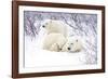 Polar Bears, Female and Two Cubs, Churchill Wildlife Area, Mb-Richard ans Susan Day-Framed Photographic Print