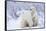 Polar Bears, Female and Two Cubs, Churchill Wildlife Area, Mb-Richard ans Susan Day-Framed Stretched Canvas