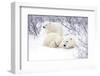 Polar Bears, Female and Two Cubs, Churchill Wildlife Area, Mb-Richard ans Susan Day-Framed Photographic Print