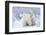 Polar Bears, Female and Two Cubs, Churchill Wildlife Area, Mb-Richard ans Susan Day-Framed Photographic Print