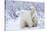 Polar Bears, Female and Two Cubs, Churchill Wildlife Area, Mb-Richard ans Susan Day-Stretched Canvas