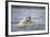 Polar Bears Fighting in Water-Paul Souders-Framed Photographic Print