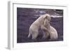 Polar Bears Hugging-DLILLC-Framed Photographic Print