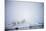 Polar Bears in Fog, Hudson Bay, Nunavut, Canada-Paul Souders-Mounted Photographic Print