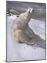 Polar Bears in Snow-Carl Ederer-Mounted Giclee Print