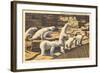 Polar Bears in Zoo, Detroit, Michigan-null-Framed Art Print