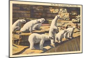 Polar Bears in Zoo, Detroit, Michigan-null-Mounted Art Print