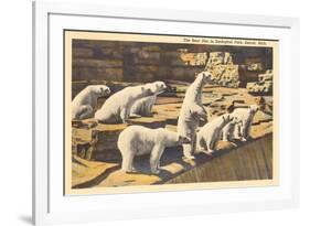 Polar Bears in Zoo, Detroit, Michigan-null-Framed Premium Giclee Print