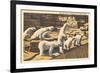 Polar Bears in Zoo, Detroit, Michigan-null-Framed Premium Giclee Print