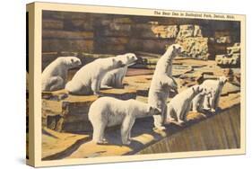 Polar Bears in Zoo, Detroit, Michigan-null-Stretched Canvas