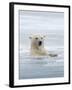 Polar Bears Near Kaktovic, Alaska-Howie Garber-Framed Photographic Print