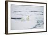 Polar Bears on Sea Ice-DLILLC-Framed Photographic Print