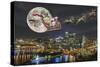 Polar bears over Pittsburgh-Liz Zernich-Stretched Canvas