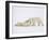 Polar Bears Playing-John Conrad-Framed Photographic Print