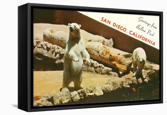 Polar Bears, San Diego Zoo-null-Framed Stretched Canvas