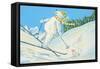 Polar Bears Skiing-David Cooke-Framed Stretched Canvas