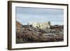 Polar Bears Sleeping on Harbour Islands, Hudson Bay, Nunavut, Canada-Paul Souders-Framed Photographic Print