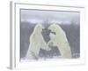 Polar Bears (Ursus Maritimus), Churchill, Hudson Bay, Manitoba, Canada-Thorsten Milse-Framed Photographic Print