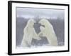 Polar Bears (Ursus Maritimus), Churchill, Hudson Bay, Manitoba, Canada-Thorsten Milse-Framed Photographic Print