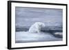 Polar Bears Watching for Seals at an Ice Hole, C1867-1910-John Macallan Swan-Framed Giclee Print