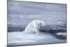 Polar Bears Watching for Seals at an Ice Hole, C1867-1910-John Macallan Swan-Mounted Giclee Print