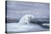Polar Bears Watching for Seals at an Ice Hole, C1867-1910-John Macallan Swan-Stretched Canvas