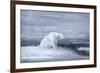 Polar Bears Watching for Seals at an Ice Hole, C1867-1910-John Macallan Swan-Framed Giclee Print