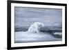 Polar Bears Watching for Seals at an Ice Hole, C1867-1910-John Macallan Swan-Framed Giclee Print