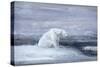 Polar Bears Watching for Seals at an Ice Hole, C1867-1910-John Macallan Swan-Stretched Canvas