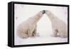 Polar Bears with Pink Hearts-null-Framed Stretched Canvas