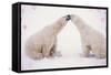 Polar Bears with Pink Hearts-null-Framed Stretched Canvas