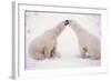 Polar Bears with Pink Hearts-null-Framed Photographic Print