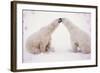 Polar Bears with Pink Hearts-null-Framed Photographic Print