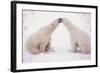 Polar Bears with Pink Hearts-null-Framed Photographic Print