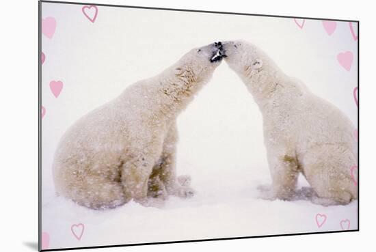 Polar Bears with Pink Hearts-null-Mounted Photographic Print