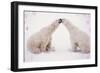 Polar Bears with Pink Hearts-null-Framed Photographic Print