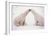 Polar Bears with Pink Hearts-null-Framed Photographic Print