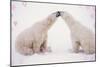 Polar Bears with Pink Hearts-null-Mounted Photographic Print