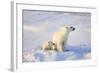 Polar Bears-null-Framed Photographic Print