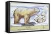 Polar Bears-null-Framed Stretched Canvas