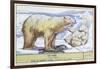 Polar Bears-null-Framed Art Print