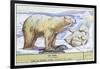 Polar Bears-null-Framed Art Print