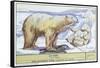 Polar Bears-null-Framed Stretched Canvas