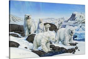 Polar Bears-Tim Knepp-Stretched Canvas