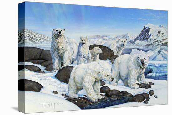 Polar Bears-Tim Knepp-Stretched Canvas