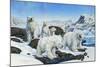 Polar Bears-Tim Knepp-Mounted Giclee Print