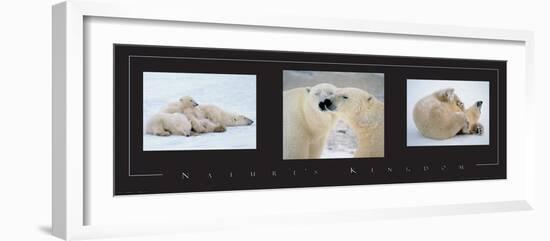 Polar Bears-unknown unknown-Framed Photo