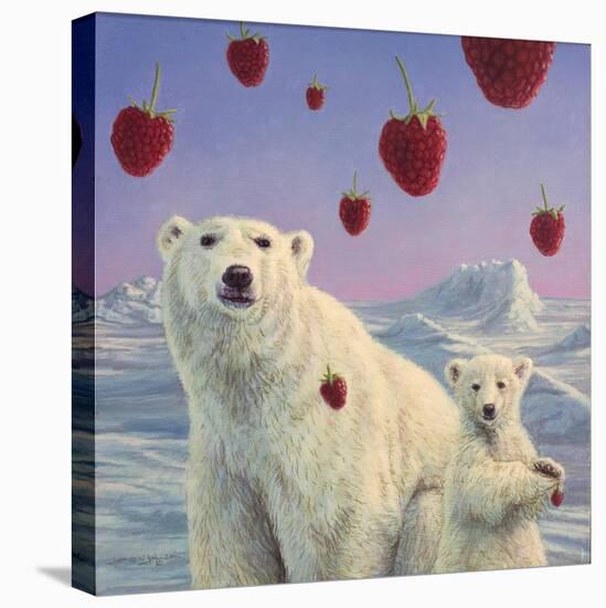 Polar Berries-W Johnson James-Stretched Canvas